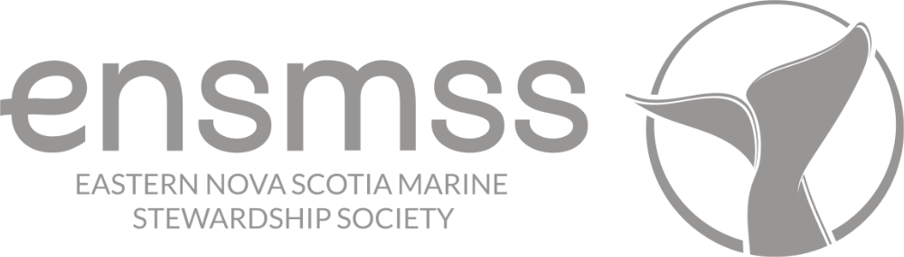 ENSMSS Logo