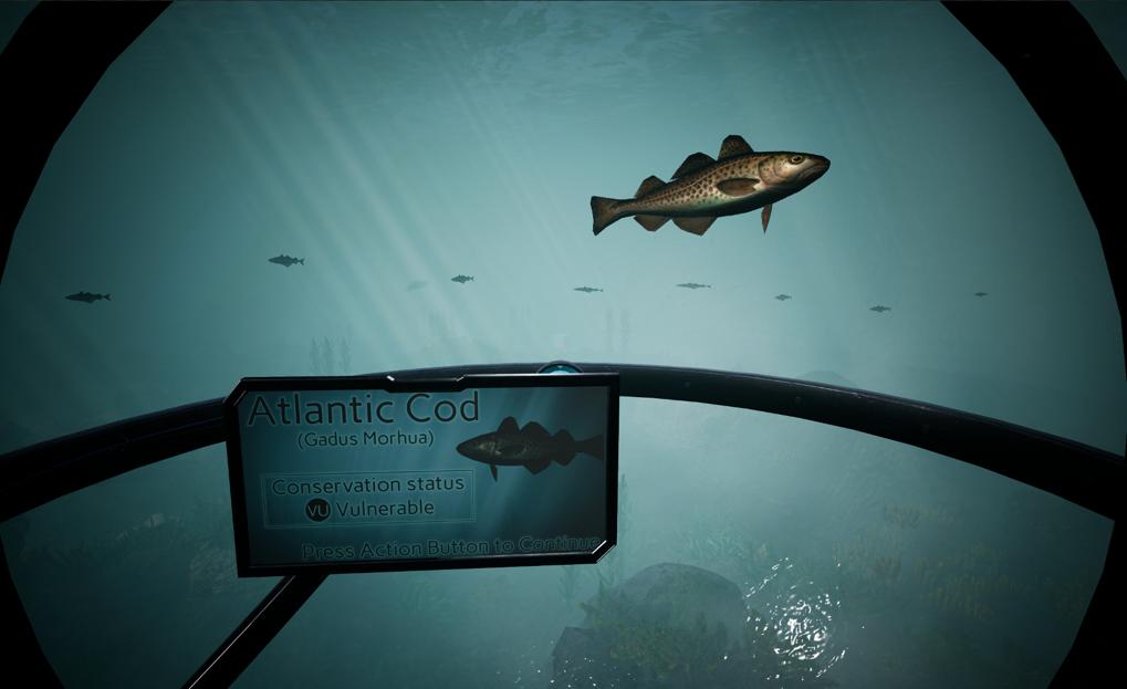 Marine Protected Area VR Experience Image