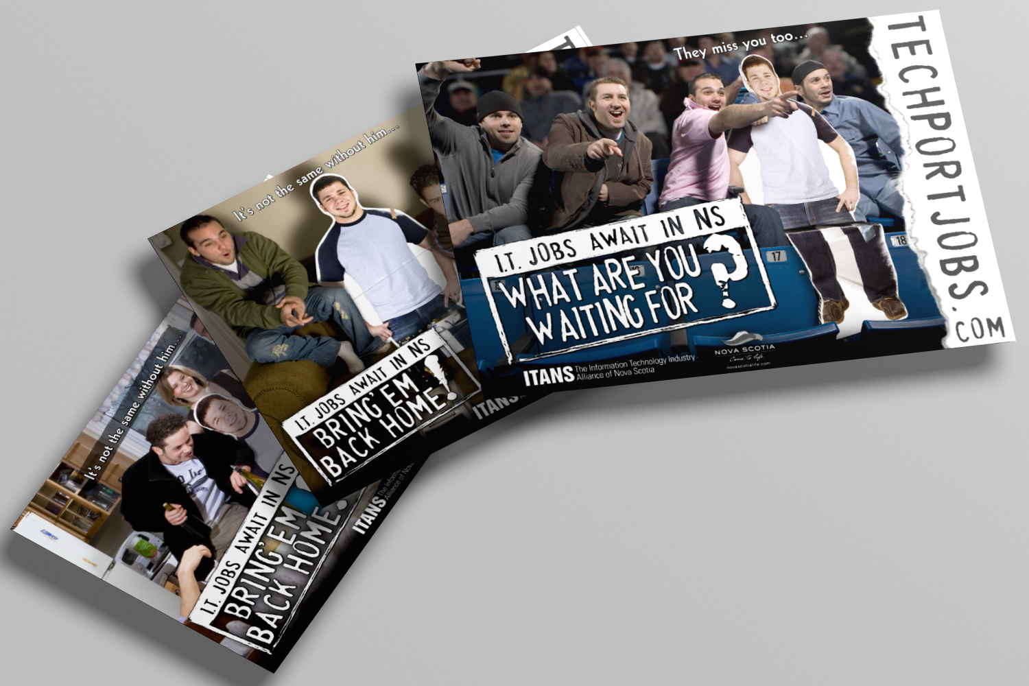 Creative Portfolio Layout for Nova Scotia Business Inc