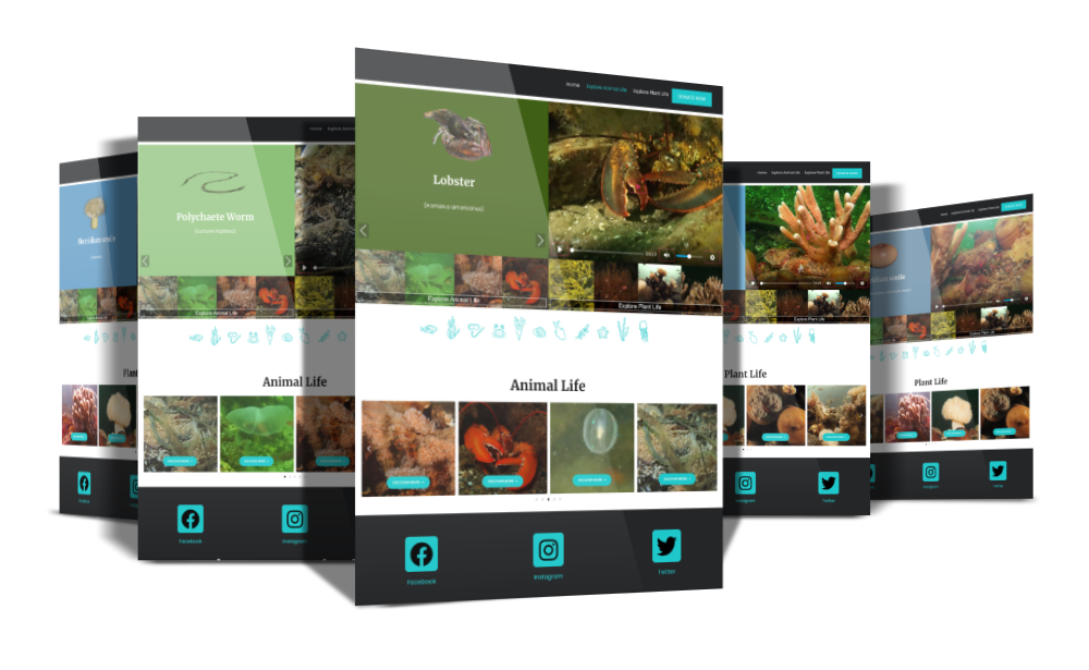 Website portfolio layout for Aros na Mara